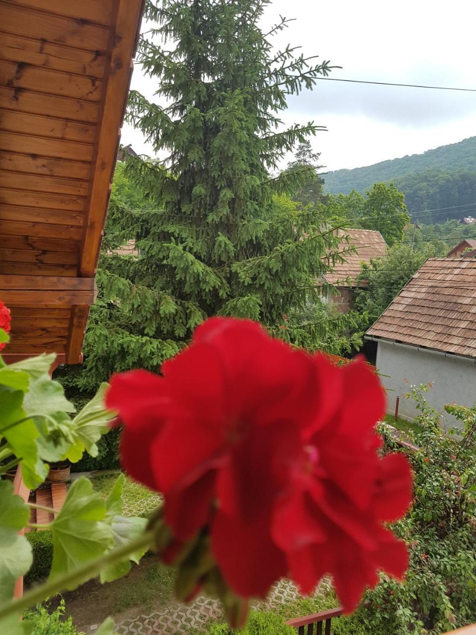 Pensiunea Lorincz *** Panzio Sovata Eksteriør billede
